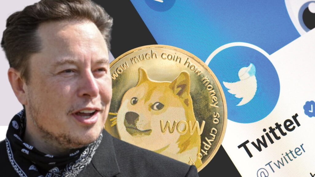 Crypto Report: Musk, Twitter and Dogecoin